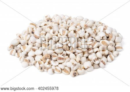 Isolated Seed Grains. Flat Lay Various Healthy Seed Millet Or Poaceae On White Background. With Heal