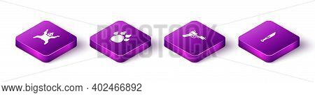 Set Isometric Bear Skin, Paw Print, Pistol Or Gun And Hunter Knife Icon. Vector