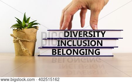 Diversity, Equality And Inclusion Symbol. Books With Words 'diversity, Equality And Inclusion' On Be