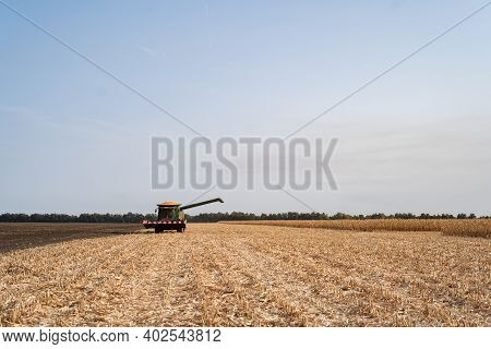 Harvesting Ripe Dry Corn In The Field With A Green Harvester