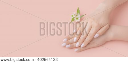 Close-up Beautiful Female Hands With Flowers On Pink Background. Concept Hand Care, Anti-wrinkles, A