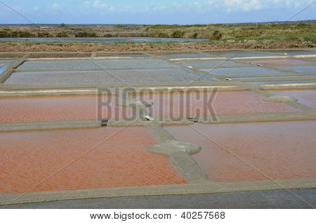 ฝรั่งเศส เกลือใน Guerande