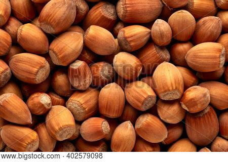 Filbert. Cobnut. Background from hazelnuts.