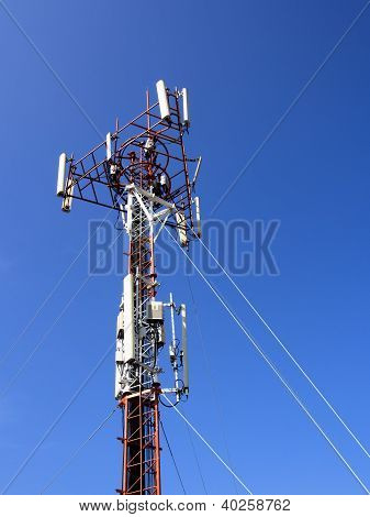 Umiejscowienie komórek