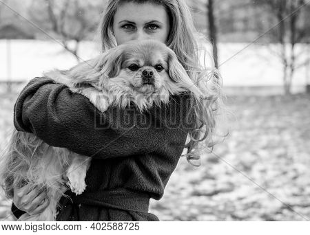 Nice Young Woman On A Walk With Her Dog Resting At Park. Best Friendship Girl And Senior Dog. Psycho