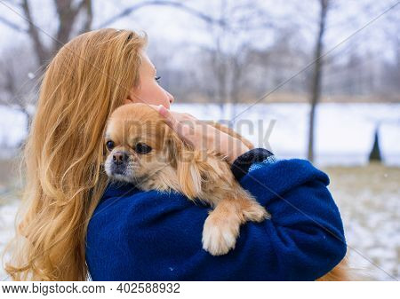 Nice Young Woman On A Walk With Her Dog Resting At Park. Best Friendship Girl And Senior Dog. Psycho