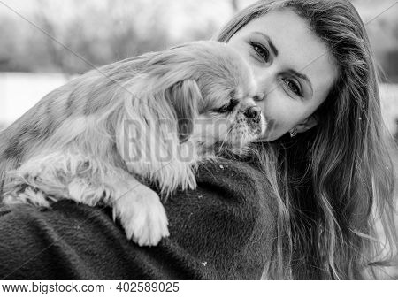 Nice Young Woman On A Walk With Her Dog Resting At Park. Best Friendship Girl And Senior Dog. Psycho