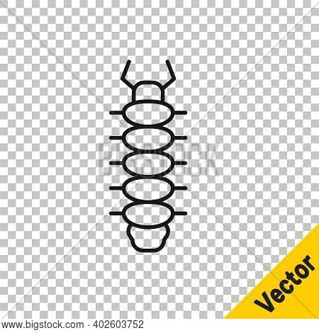 Black Line Centipede Insect Icon Isolated On Transparent Background. Vector