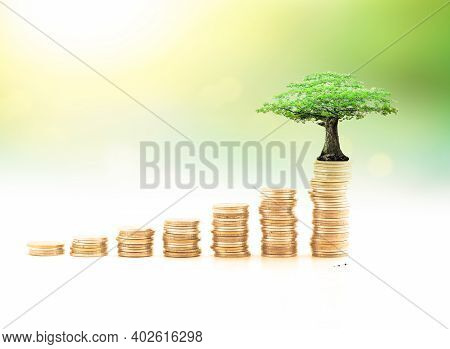 Endowment Fund Concept: Stacks Of Golden Coins With Big Tree On Blurred Nature Background