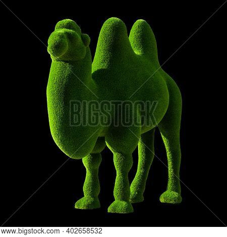 The Camel Is Made From Artificial, Plastic Grass. Green Bactrian Camel From Grass Isolated On Black 