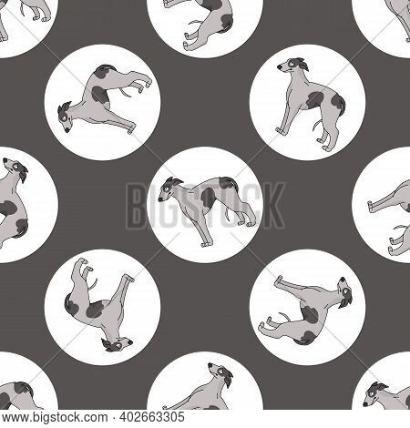 Hand Drawn Cute Greyhound Dog Breed In Polka Dot Seamless Vector Pattern. Purebread Pedigree Puppy D