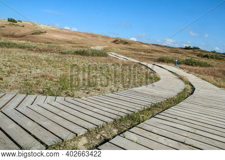 A Picture From The Curonian Spit (kursiu Nerija) National Park In Lithuania. The Wooden Tourist Path