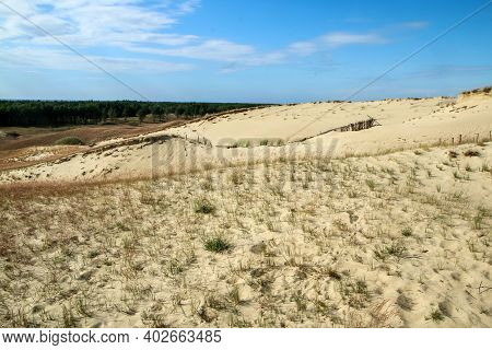 A Picture From The Curonian Spit (kursiu Nerija) National Park In Lithuania. The Big Sand Dunes By T
