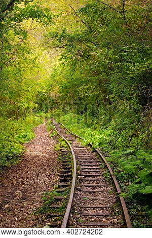 Abandoned Railway In Autumn Mountain Forest With Foliar Trees In Caucasus, Mezmay.