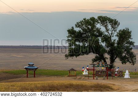 The Sacred Tree In Kalmykia