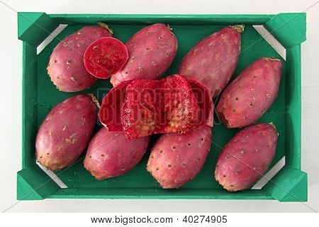 อินเดียฟิคัส opuntia ในตารางตะกร้าสีเขียว