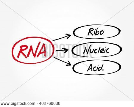 Rna - Ribonucleic Acid Acronym, Medical Concept Background