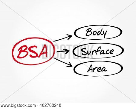 Bsa - Body Surface Area Acronym, Concept Background