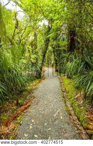 Pororari River Jungle Track in Paparoa National Park in the New Zealand