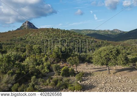 Idyllic Rural Landscape With View Of Limestone Mountain Monte Oseli, Green Forest, Trees And Hills I