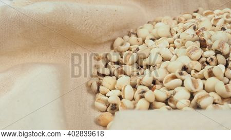Job's Tears, Also Known As Adlay And Coix On  Calico And White Background. Popular In Asian Cultures