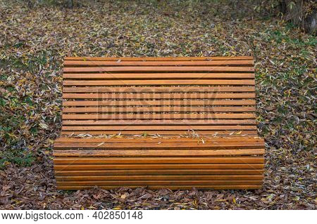 Bench Showered With Leaves During Autumn Walk