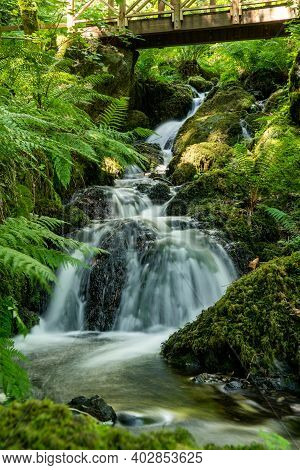 Canonteign Falls In Dartmoor