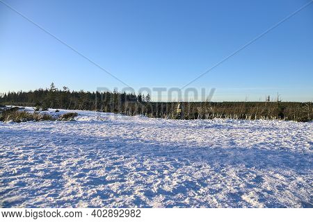 Beautiful Winter Clear Sky Over Spruce Forest And Felling At Dublin Panoramic View Point, Killakee, 