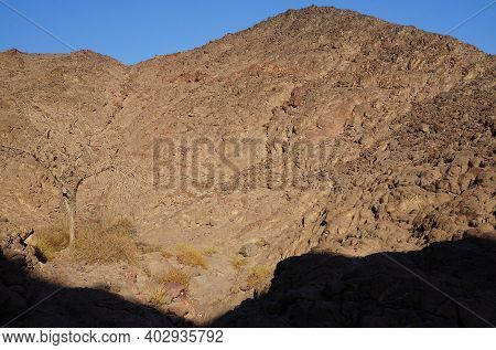 Hiking In Evening In Shehoret Mountains, South Israel
