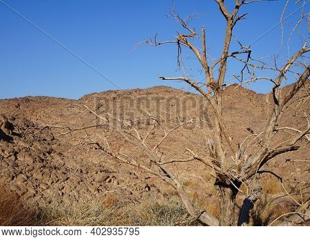 Hiking In Evening In Shehoret Mountains, South Israel