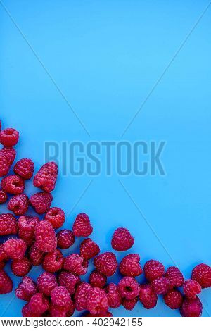 Raspberry Pattern, Blue Background, Top View\rpattern Of Ripe Red Raspberry On Blue Background. Vega