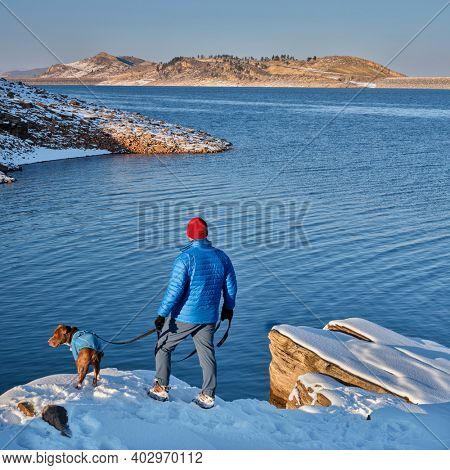 male hiker is walikng with pitbull dog on a shore of mountain lake at foothills of Rocky Mountains, Horsetooth Reservoir - a popular recreational area in northern Colorado in winter scenery