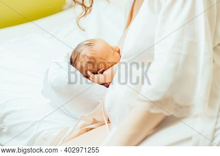 Unrecognizable Mother Breastfeeding A Baby In Her Arms At Hospitel. Mom Breast Feeding Her Newborn C
