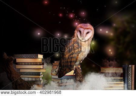 Beautiful Wise Owl On Books In Fantasy World