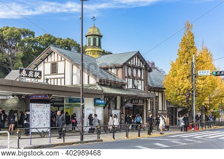 Tokyo, Japan - December 10 2019: Beautiful Autumn Colors Of Japanese Maple Tree Iroha Momiji At Hara