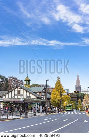 Tokyo, Japan - December 10 2019: Beautiful Autumn Colors Of Japanese Maple Tree Iroha Momiji At Hara