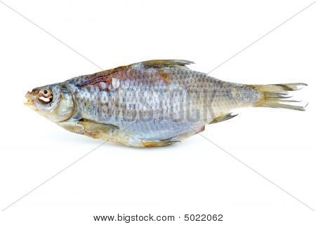 Gedroogd zeevis Roach
