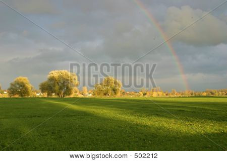 Landscape3