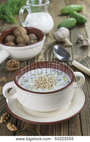 Tarator, Bulgarian Sour Milk Soup