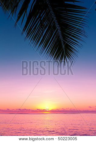 Overhanging Skyline Coast 