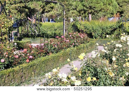 Retiro Park, Madrid
