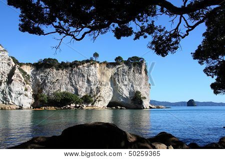 New Zealand