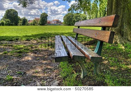 Bench In The Park