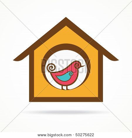 funny bird in feeder
