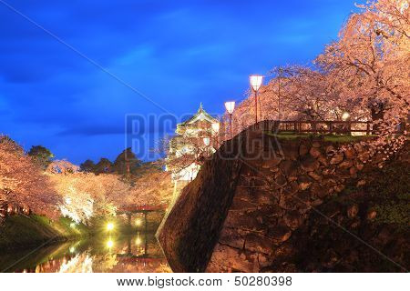 Light Up Of Hirosaki Castle And Cherry Blossoms