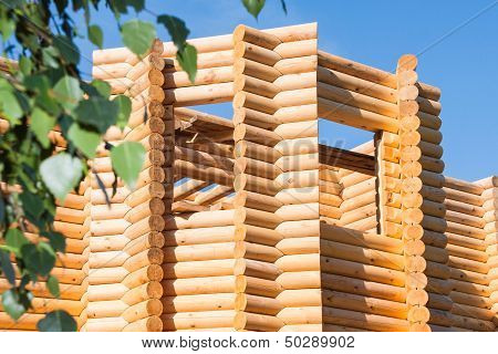 Wooden Bilding From Timber