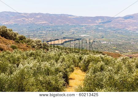 Monastery (friary) In Messara Valley At Crete Island In Greece. Messara - Is  Largest Plain In Crete