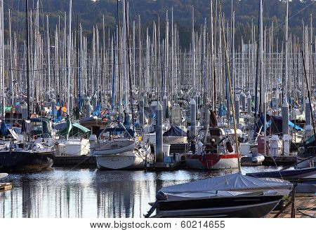Marina Sailboats & Masts