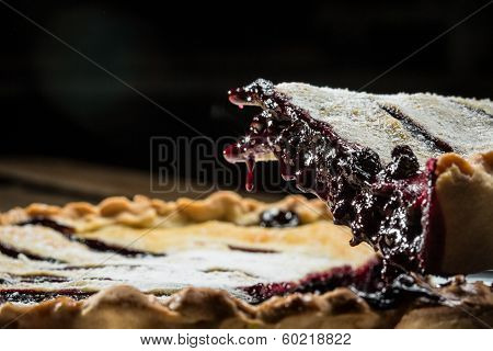 Homemade Organic Blueberry Pie Isolated On Black
