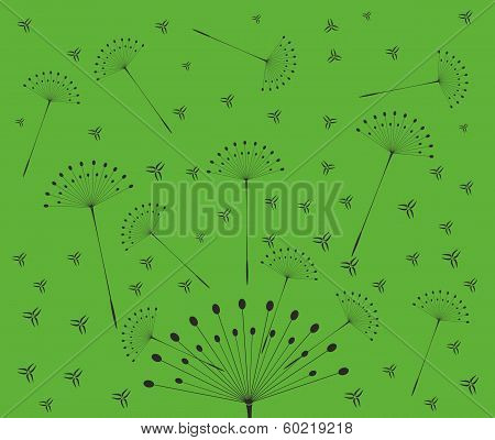 Dandelion with seeds on yellow background